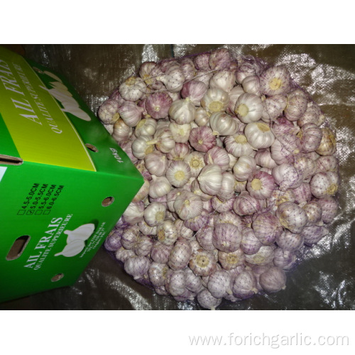 Fresh Normal White Garlic Top Quality New Crop